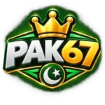 PAK67 Game logo image