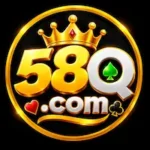 58Q Game logo image