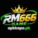 RM666 Game logo image