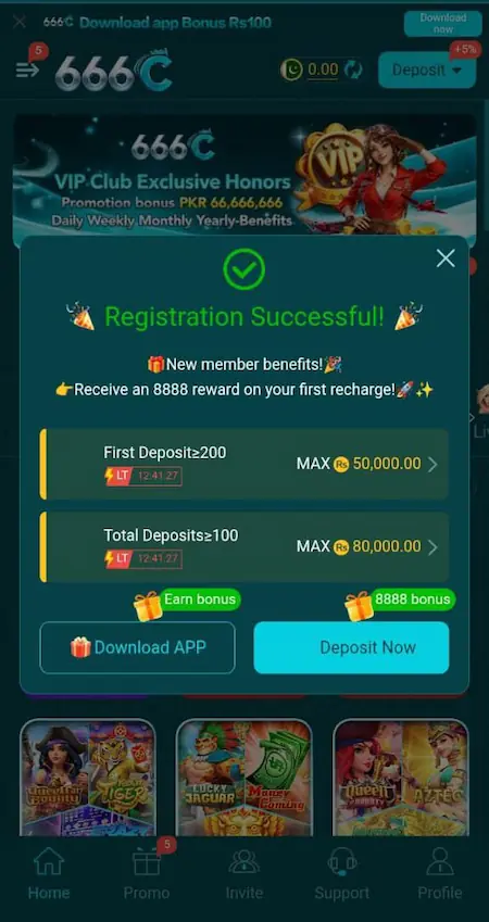 666C Game register image