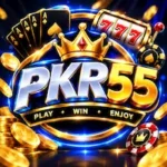 PKR55 Game logo image