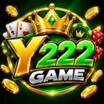 Y222 Game logo image